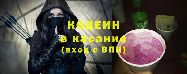 индика Алзамай