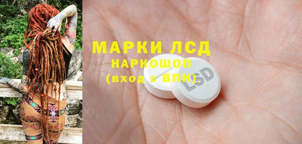 индика Алзамай