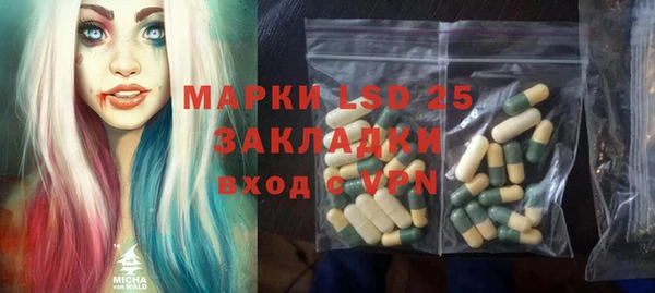 индика Алзамай